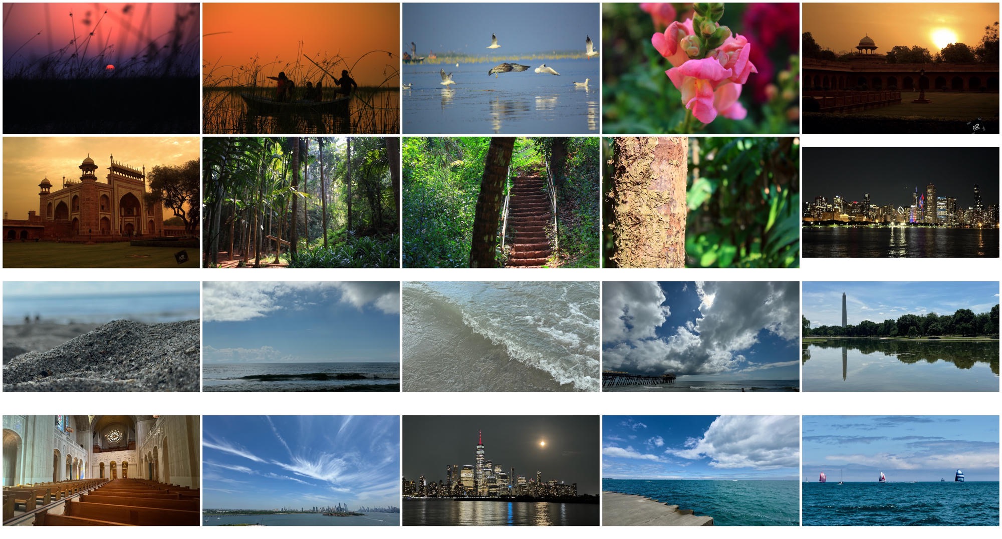 Ankur Pancholi’s photography collection: sunsets, birds, flowers, architecture, forests, coastlines and city skylines